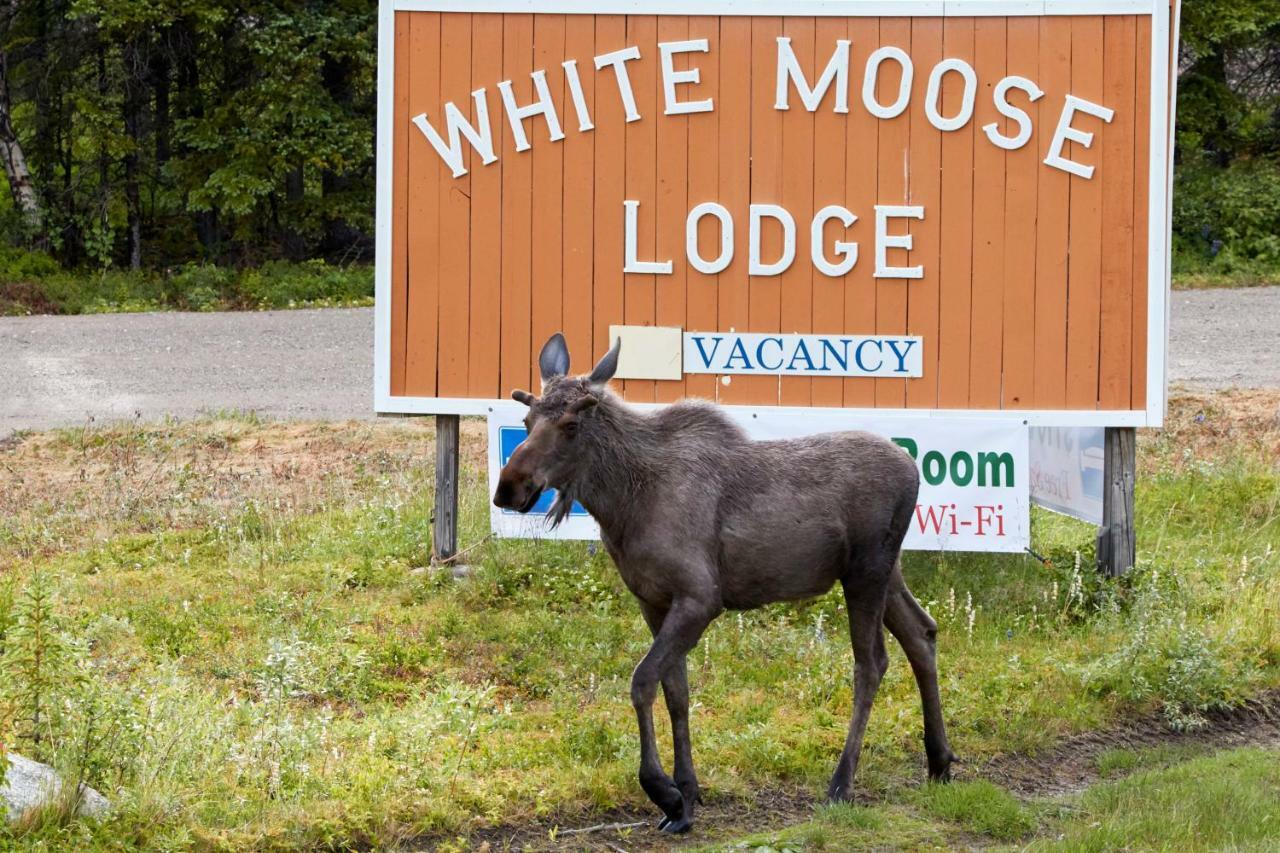 White Moose Lodge Хілі Екстер'єр фото